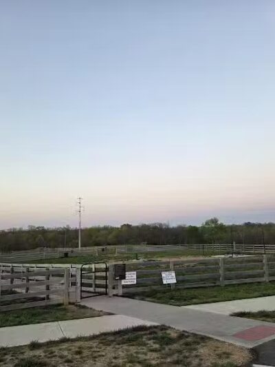 Idlewild Dog Park - Burlington,