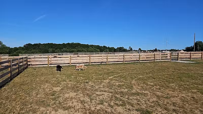 Idlewild Dog Park - Burlington,
