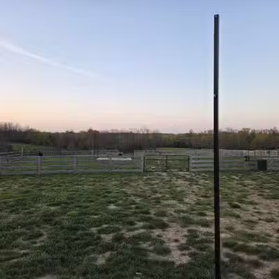 Idlewild Dog Park - Burlington,