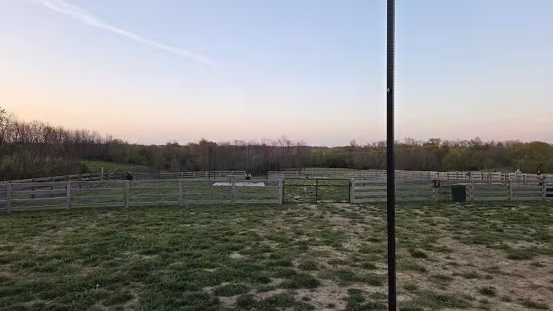 Idlewild Dog Park - Burlington,