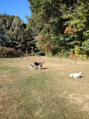 Starr Farm Dog Park - Burlington, VT