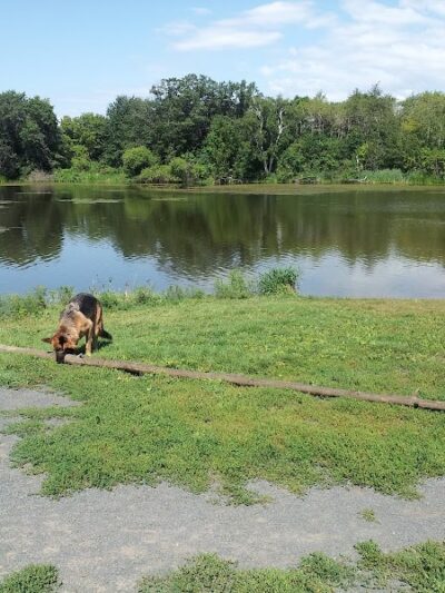 Alimagnet Dog Park - Burnsville, MN