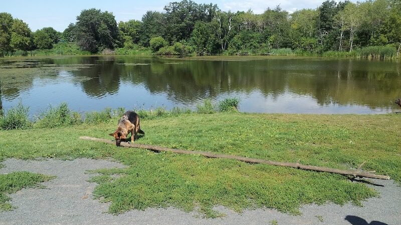 Alimagnet Dog Park - Burnsville, MN