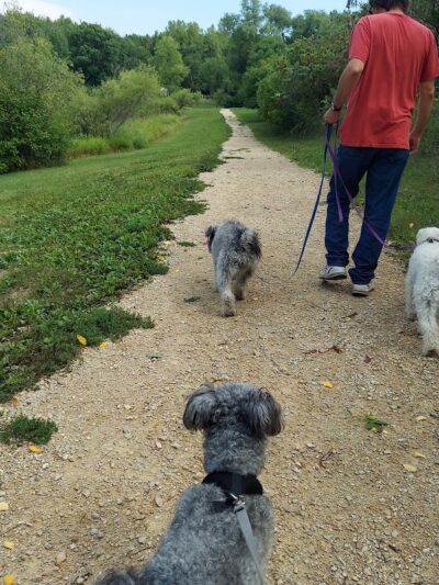 Alimagnet Dog Park - Burnsville, MN
