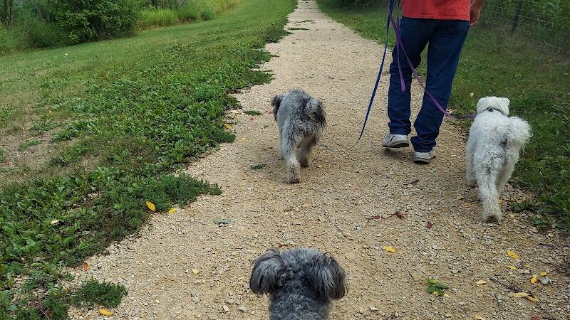 Alimagnet Dog Park - Burnsville, MN