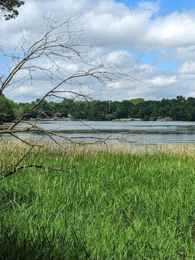 Alimagnet Dog Park - Burnsville, MN