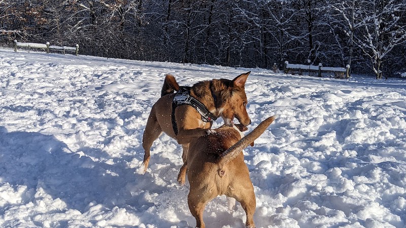 Alimagnet Dog Park - Burnsville, MN