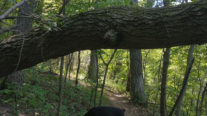 Alimagnet Dog Park - Burnsville, MN