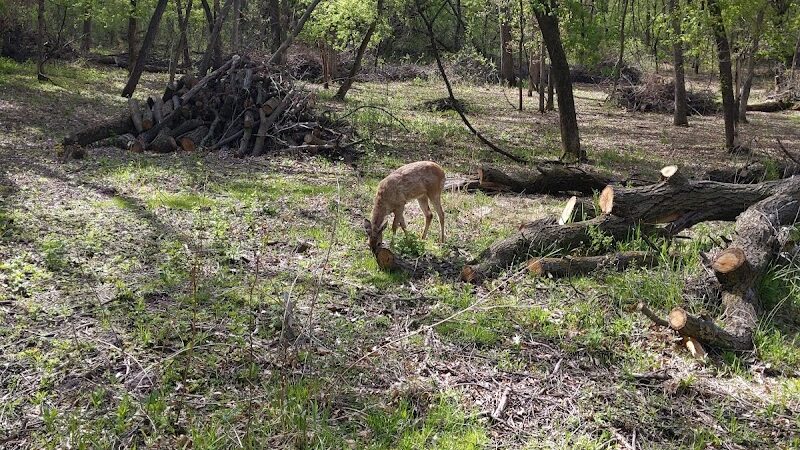 Alimagnet Dog Park - Burnsville, MN