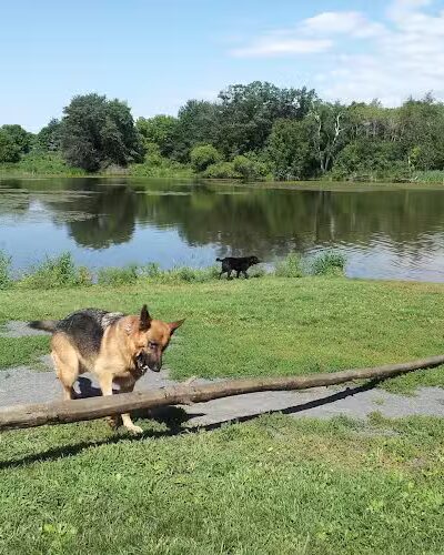 Alimagnet Dog Park - Burnsville, MN