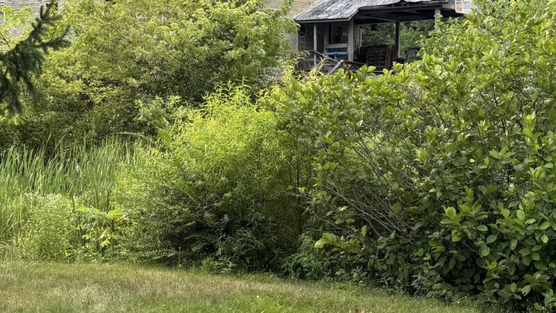 Burnt Cabins Grist Mill & Campground - Burnt Cabins, PA