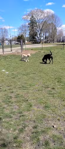 Railroad Park - Burr Oak,