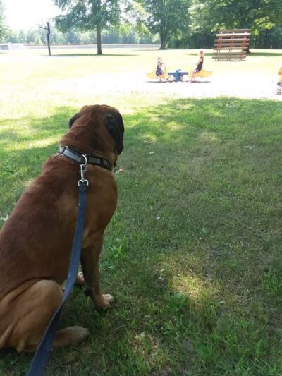 Taymouth Township Park - Burt, MI