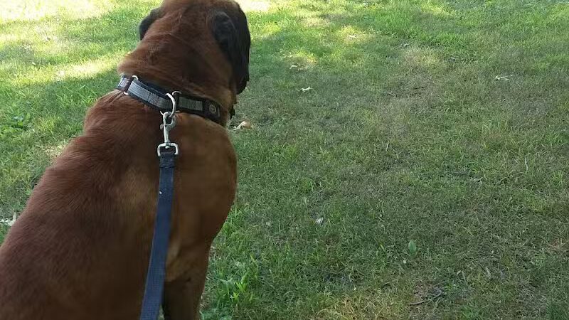 Taymouth Township Park - Burt, MI