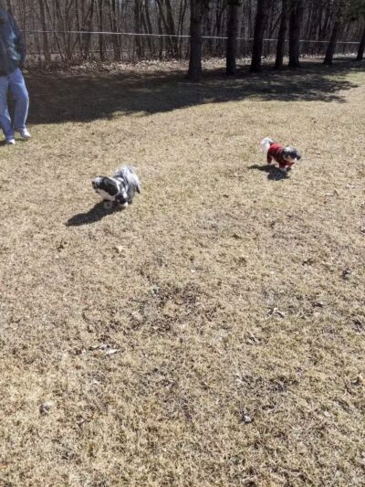 Taymouth Township Park - Burt, MI