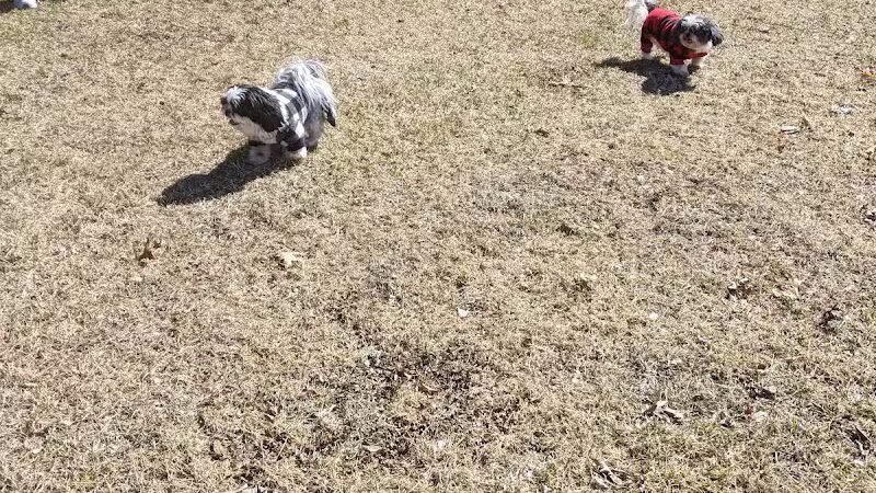 Taymouth Township Park - Burt, MI