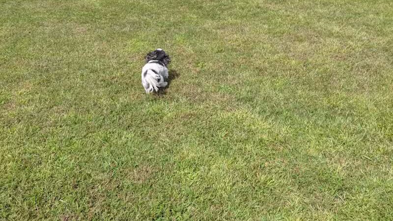 Taymouth Township Park - Burt, MI