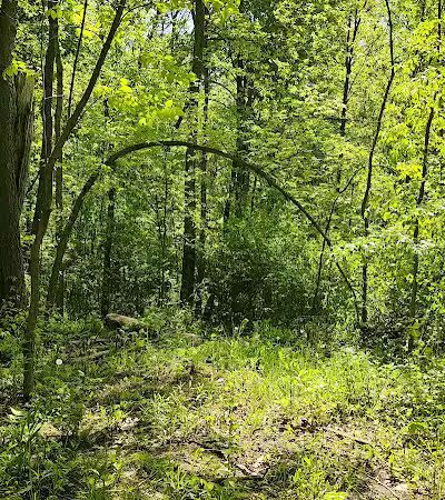 Taymouth Township Park - Burt, MI