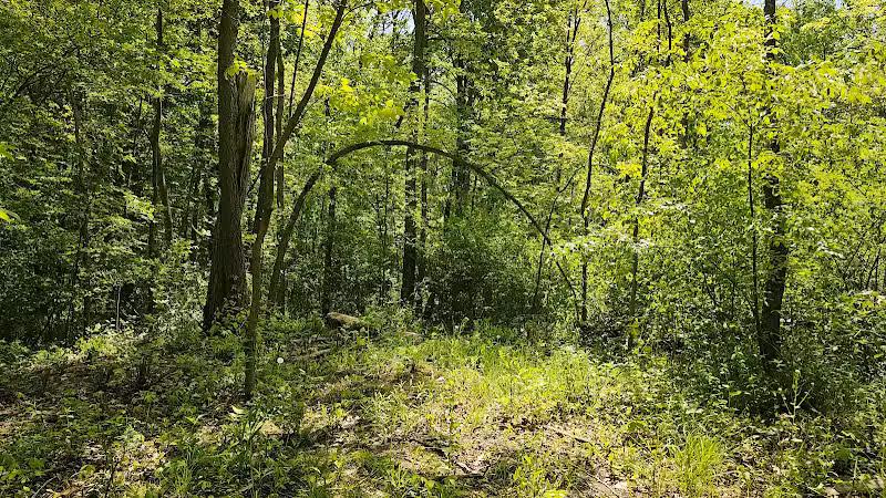 Taymouth Township Park - Burt, MI
