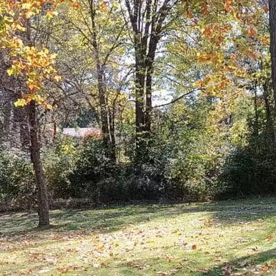 Davison Roadside Park - Burton, MI