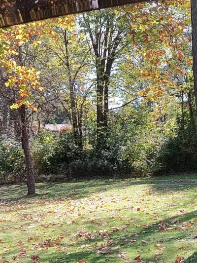 Davison Roadside Park - Burton, MI