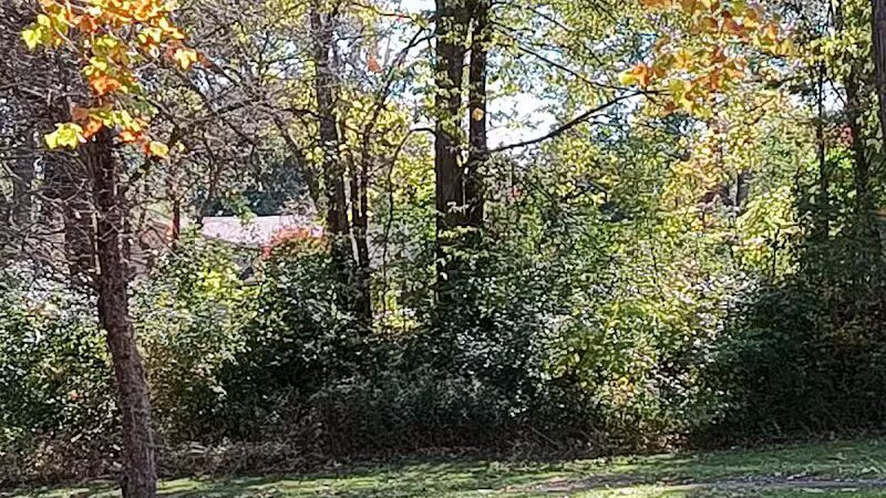 Davison Roadside Park - Burton, MI