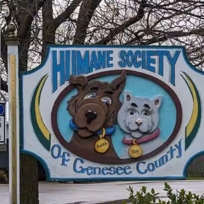 Humane Society-Genesee County - Burton, MI