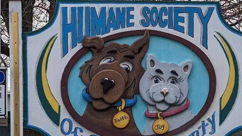 Humane Society-Genesee County - Burton, MI