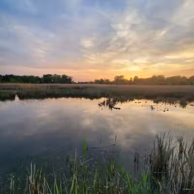Kelly Lake Park - Burton, MI