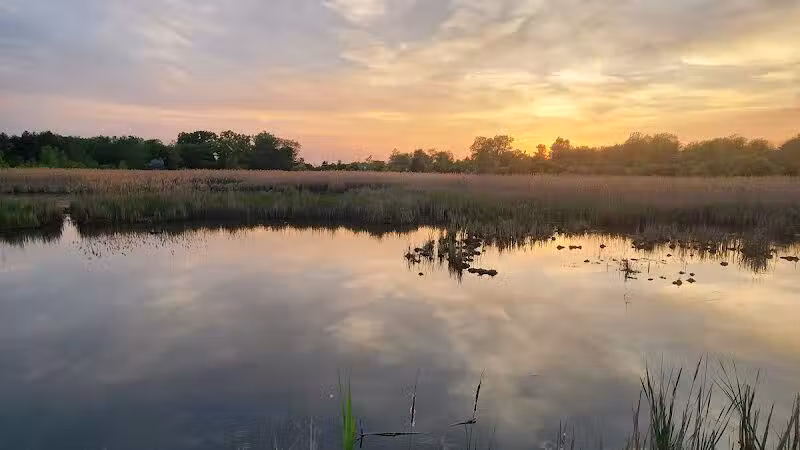 Kelly Lake Park - Burton, MI