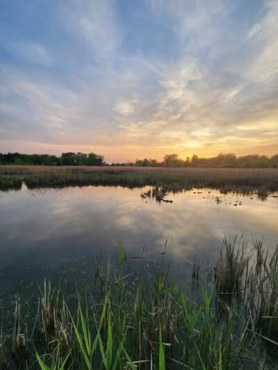 Kelly Lake Park - Burton, MI