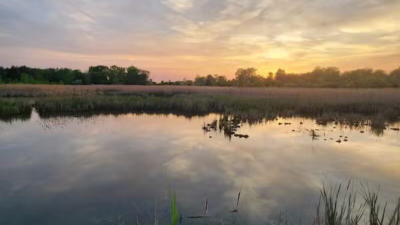 Kelly Lake Park - Burton, MI