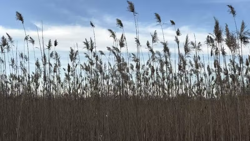 Kelly Lake Park - Burton, MI