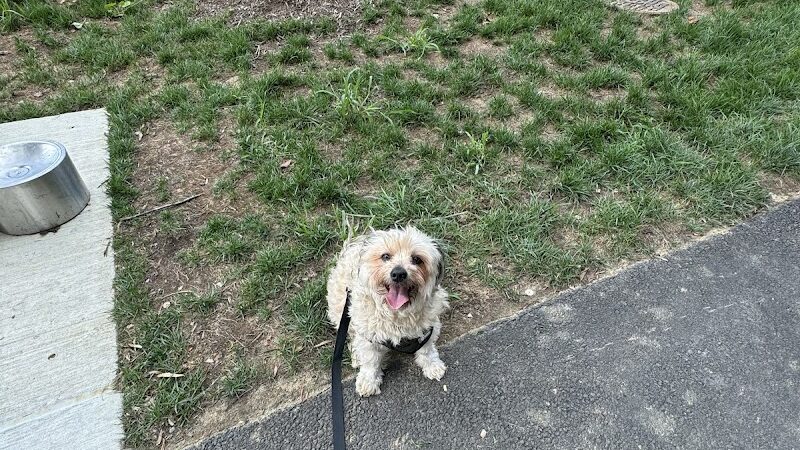 Dog Park - Burtonsville, MD