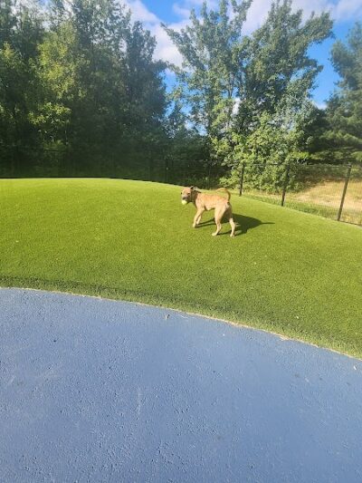 Dog Park - Burtonsville, MD