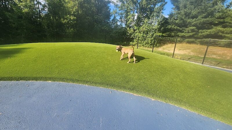 Dog Park - Burtonsville, MD