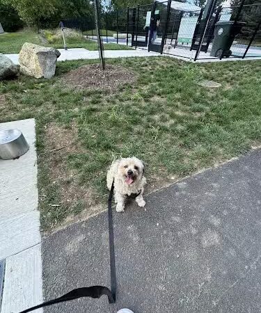 Dog Park - Burtonsville, MD