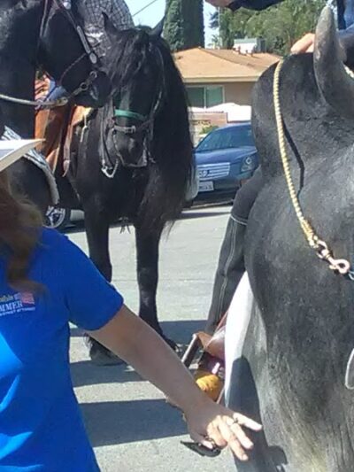 Buttonwillow Recreation & Park District - Buttonwillow, CA