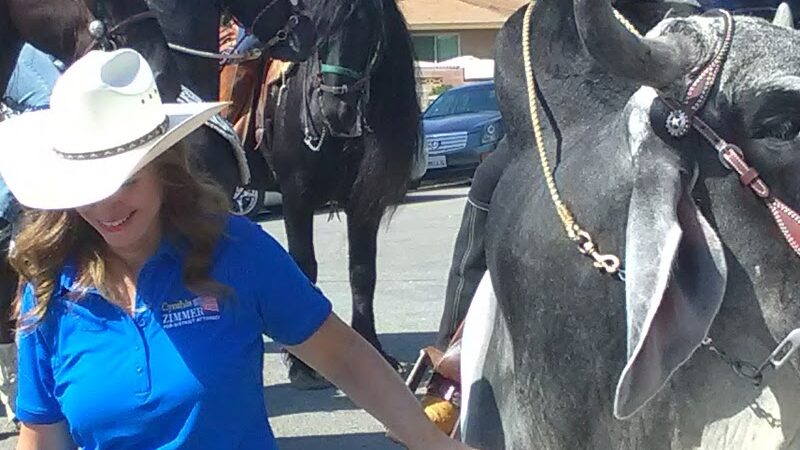Buttonwillow Recreation & Park District - Buttonwillow, CA