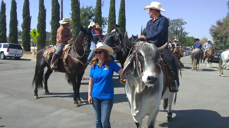 Buttonwillow Recreation & Park District - Buttonwillow, CA