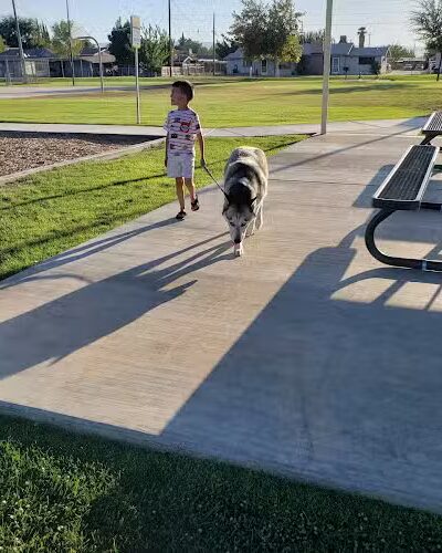 Buttonwillow Recreation & Park District - Buttonwillow, CA