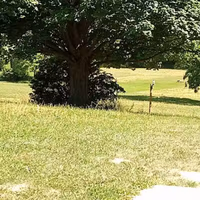 Brewer Park - Byron Center, MI