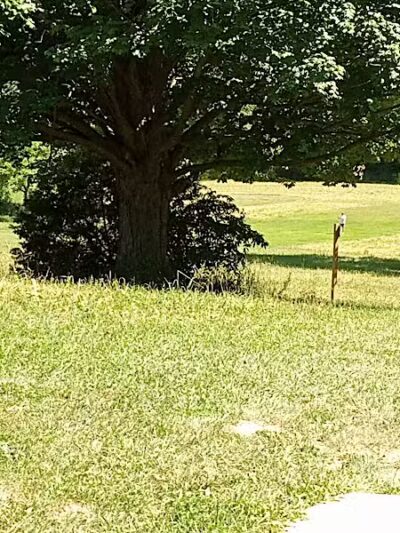 Brewer Park - Byron Center, MI