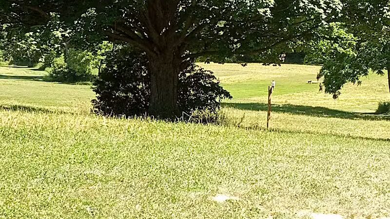 Brewer Park - Byron Center, MI