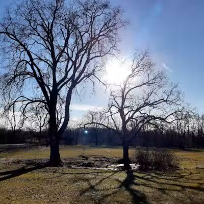 Brewer Park - Byron Center, MI