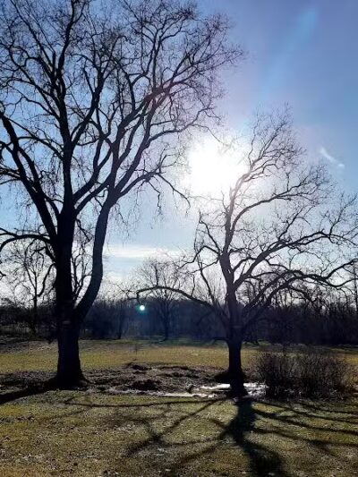 Brewer Park - Byron Center, MI