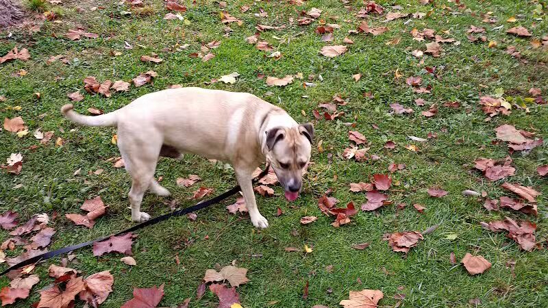 Brewer Park - Byron Center, MI