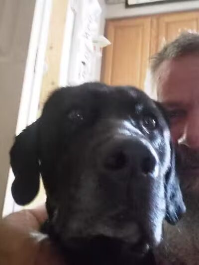 Byron Center Pet Boarding - Byron Center, MI