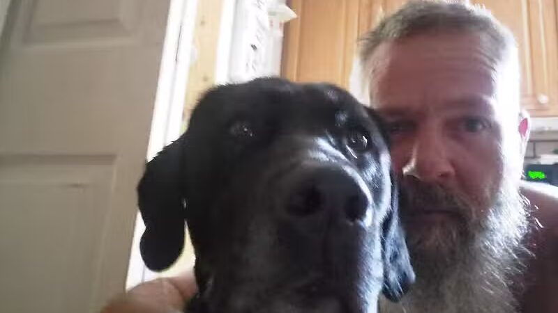 Byron Center Pet Boarding - Byron Center, MI