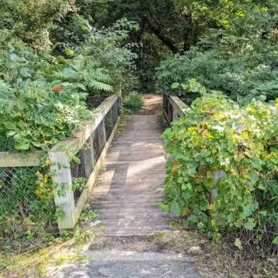 Whistlestop Park - Byron Center, MI
